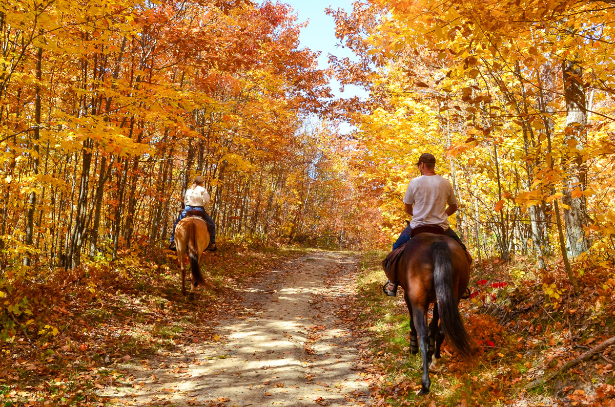 Plan the Ultimate Hudson Valley Wedding Weekend The Grandview